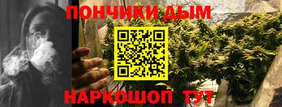 индика Жуковский
