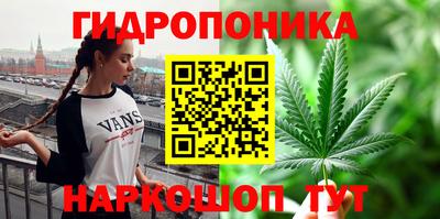 ПСИЛОЦИБИНОВЫЕ ГРИБЫ Заволжье