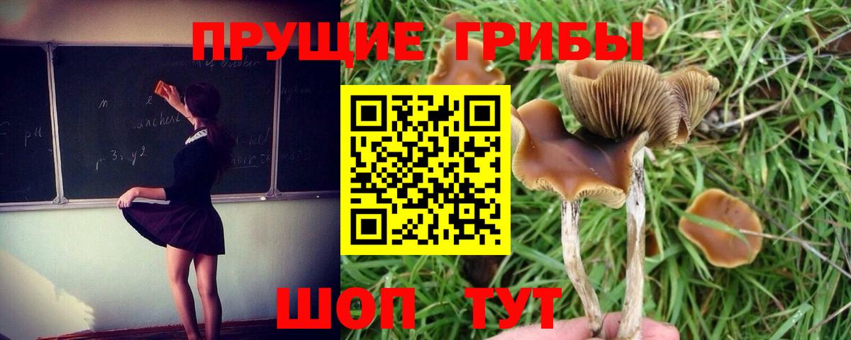 Галлюциногенные грибы ЛСД Мариинск