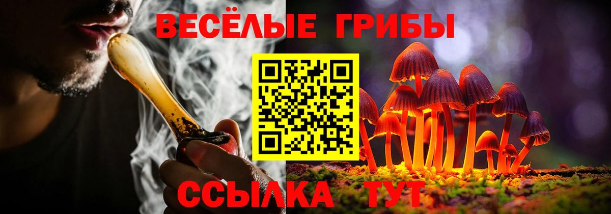 Галлюциногенные грибы мухоморы  Вход с VPN  Мариинск  Псилоцибиновые грибы Psilocybe 